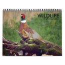Recherche de de faune calendriers Oiseau
