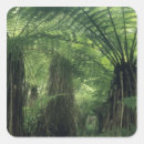 Recherche de fougère autocollants Forêt tropicale