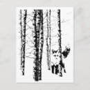 Recherche de renard blanc cartes postales Forêt