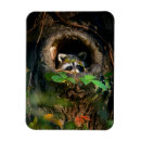 Recherche de raton laveur magnets Boisé