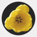 Recherche de numérique cadeau emballages Jaune