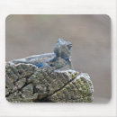 Recherche de lézard bleu tapis souris Reptile