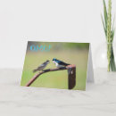 Recherche de hirondelle vœux cartes Oiseau