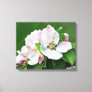 Recherche de pomi toiles Printemps