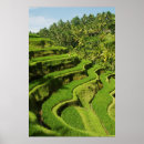 Recherche de asien posters Bali