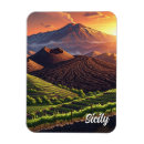 Recherche de etna magnets Volcan