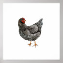 Recherche de oiseau noir et blanc posters Aquarelle