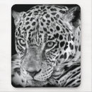 Recherche de jaguar sauvage tapis souris Nature