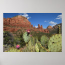 Recherche de butée art Cactus