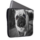 Recherche de sleeves photographie Chien