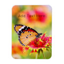 Recherche de jolis papillons magnets Fleurs
