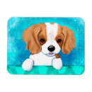 Recherche de breton magnets Dog