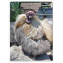 Recherche de poulet porte blocs Brun