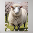 Recherche de mélangé posters Contenu générationnel