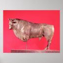 Recherche de gallo posters Animal