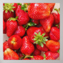 Recherche de les fraises posters Fruits