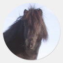 Recherche de écurie autocollants Ferme
