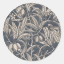 Recherche de fruit vintage autocollants Botanique