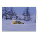 Recherche de comportement cartes postales Canada