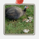 Recherche de famille royale ornements Pintade