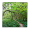 Recherche de ancien carreaux Forêt