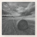 Recherche de foin dessous de verres Paysage