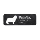 Recherche de cavalier king charles Chien