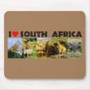 Recherche de faune tapis souris Photographie de la nature