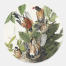 Recherche de audubon autocollants John james audubon