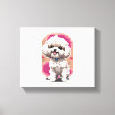 Recherche de bichon toiles Dog