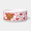 Recherche de amour rouge de ros Rose