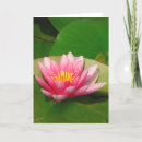 Recherche de lotus vœux cartes Nénuphar