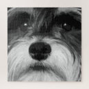 Recherche de schnauzer miniature puzzles Chien