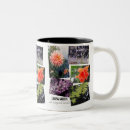 Recherche de bush photographie Nature