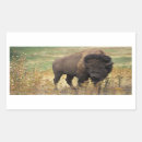 Recherche de bisons autocollants Faune