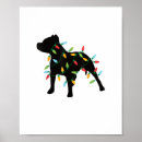 Recherche de chien pitbull posters Dog