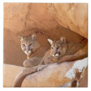 Recherche de cougar carreaux Nature