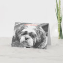 Recherche de tzu vœux cartes Animaux