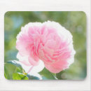 Recherche de pivoines tapis souris Fleur rose