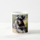 Recherche de miniature schnauzer tasses Race
