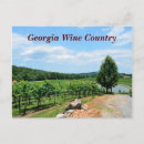 Recherche de raisins cartes postales Paysage