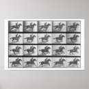 Recherche de muybridge posters De