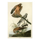Recherche de oiseaux de marais art Illustration