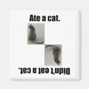 Recherche de grossier magnets Moyen