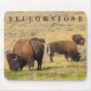 Recherche de bison tapis souris Jaune