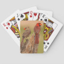 Recherche de cathy jeux de cartes Animal