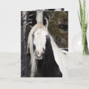 Recherche de gitans vœux cartes Cheval