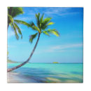 Recherche de belle plage carreaux Palmiers