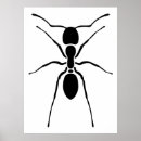 Recherche de fourmi posters Insecte