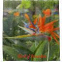 Recherche de oiseau peinture paradis Fleur